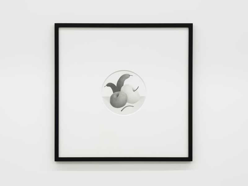 Nicolas Party, Still Life, 2013