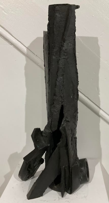 Carole Hodgson, First Voice