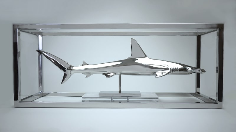 Christopher Schulz, Great Hammerhead, 2022
