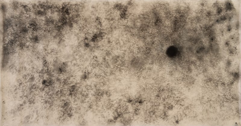 Aditi Singh, Night Sky with Feathers and a Moon, 2020