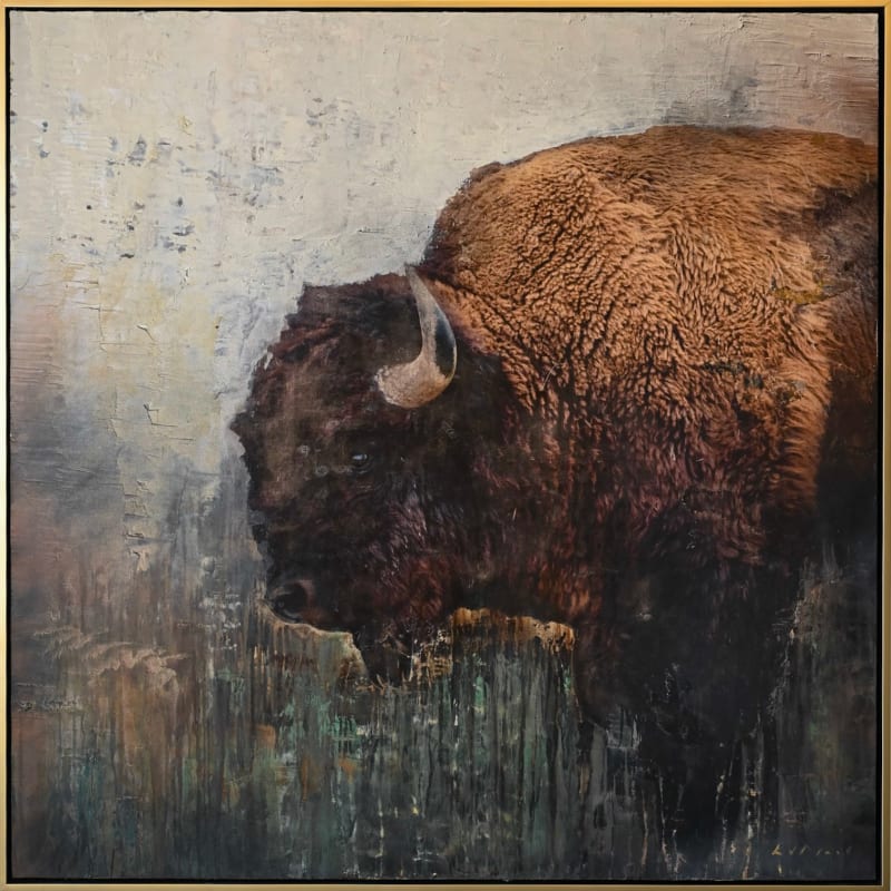Ed Nash, Bison 1