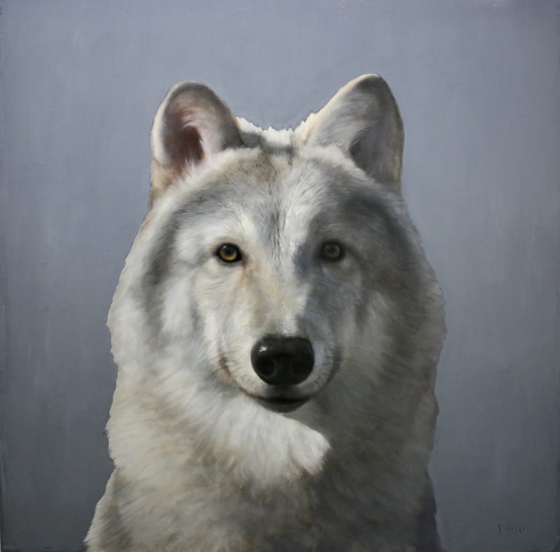 George Hill Symbiosis Grey Wolf Oil on Wood Panel 42 X 42