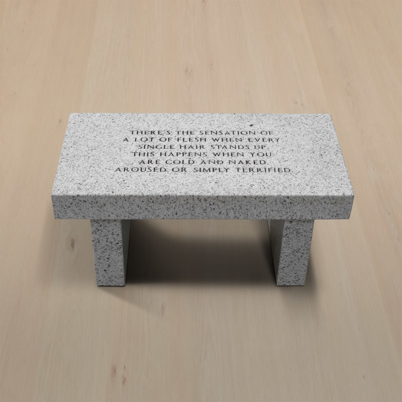 Jenny Holzer, Living Series: There's the Sensation of a lot of Flesh... , 1989