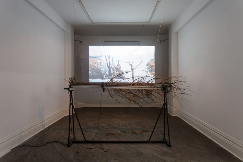 HU Weiyi A Brief History Of Plant 植物简史, 2016 Video installation, track, hand wheel, camera, laser distance sensor, pc, tree branch 影像装置,轨道,手轮,摄像头,激光测距传感器,电脑,树枝 Dimensions variable 尺寸可变 Edition of 3 plus 1 artist's proof