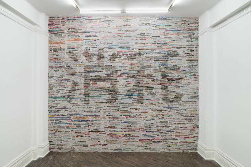 LIU Ren Consumption 消耗, 2016 mixed media 综合材料 Dimensions variable尺寸可变