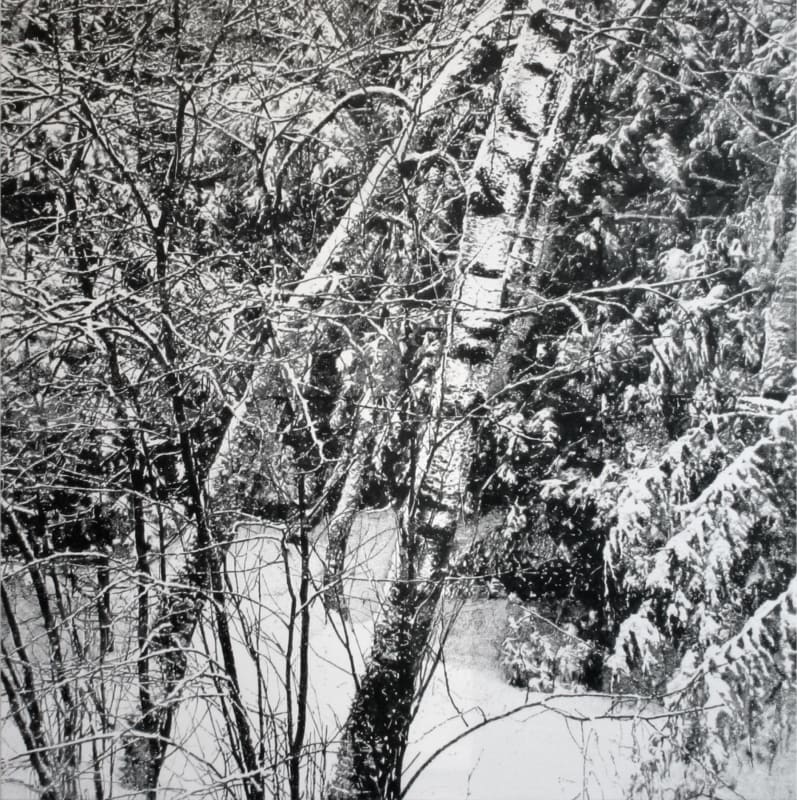 James Chronister Untitled (Snowy Forest), 2009 oil on canvas 40" H x 40" W