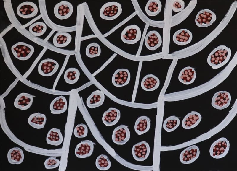 Kittey Malarvie Ngyalgarri, Ngappa, 2019