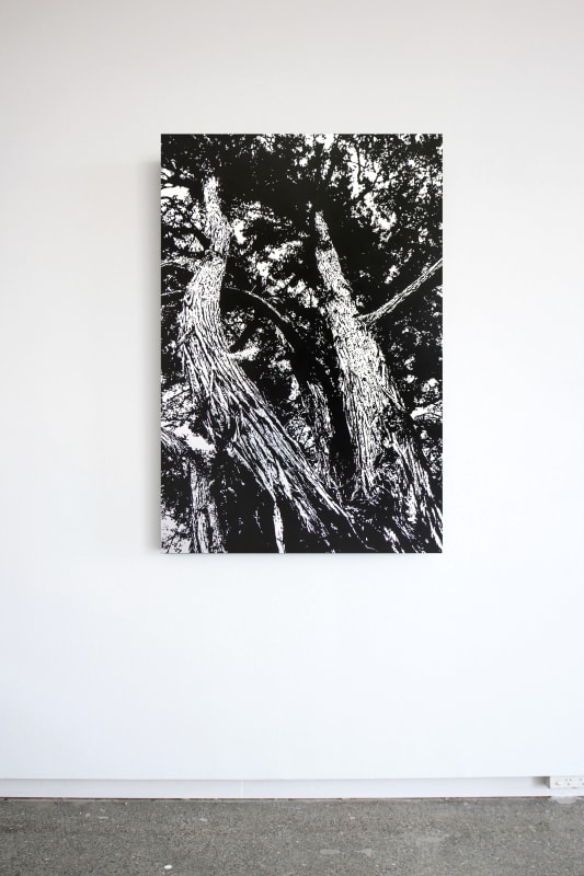 Neal Palmer, Alternative Routes (Tōtara Tree) , 2023