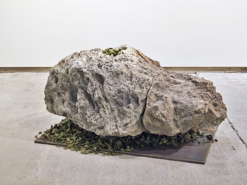 Giuseppe Penone, Pietra di foglie, 2006