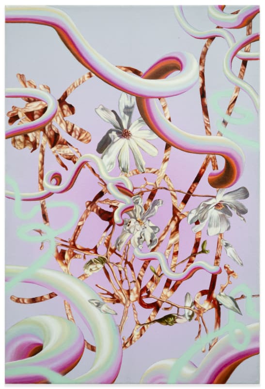 Monika Malewska, Ground beef with Magnolia flowers and magenta gradient composition, 2024