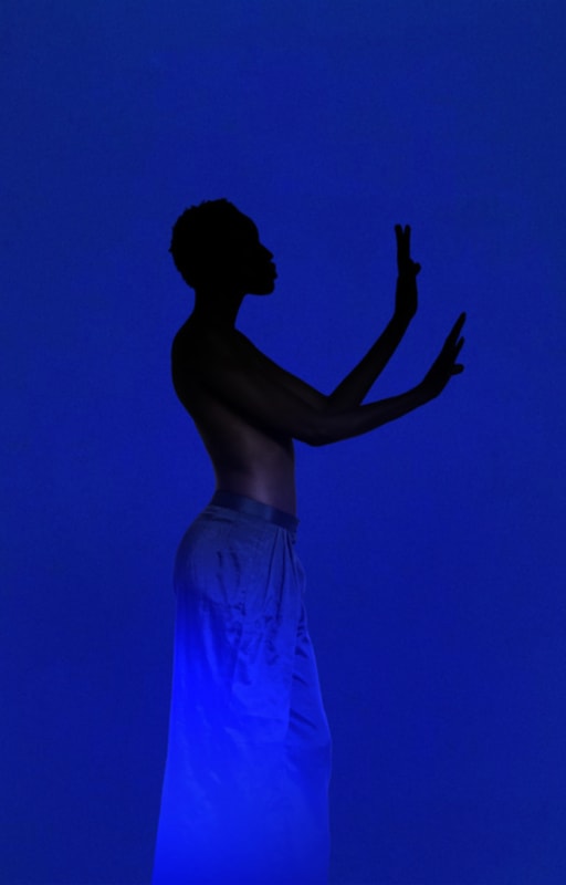 FX PELISSIER, Déambule III, 2024