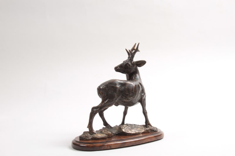 Dany Continsouzas, Chevreuil