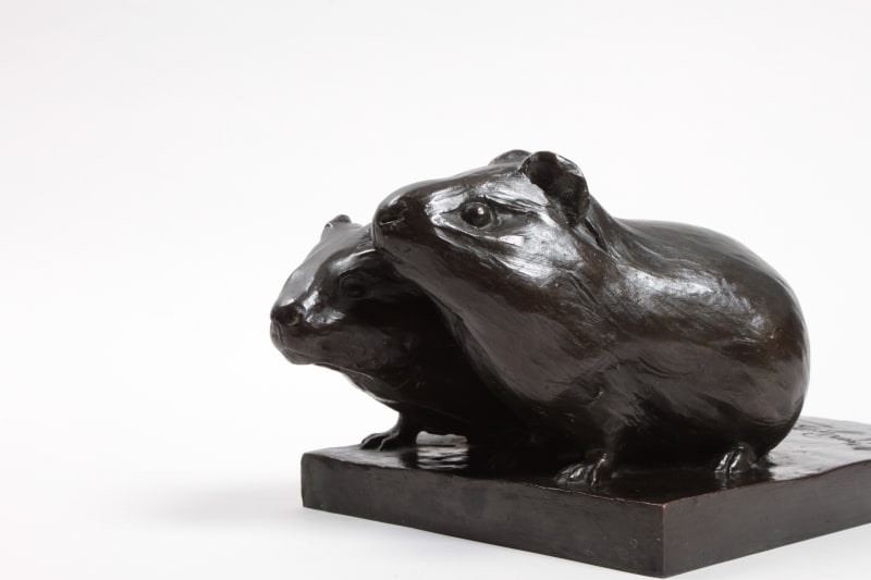 Martin Meyer-Pyritz, Cobayes, circa 1930