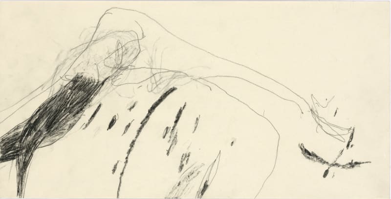 Paco Knöller Bis zum äußersten Ende des Mundes, 2000 Pencil on paper Paper size: 30 x 59 cm | 11 3/4 x 23 1/4 in Framed dimensions: 89.3 x 77.3 x 3 cm | 35 1/8 x 30 3/8 x 1 1/8 in