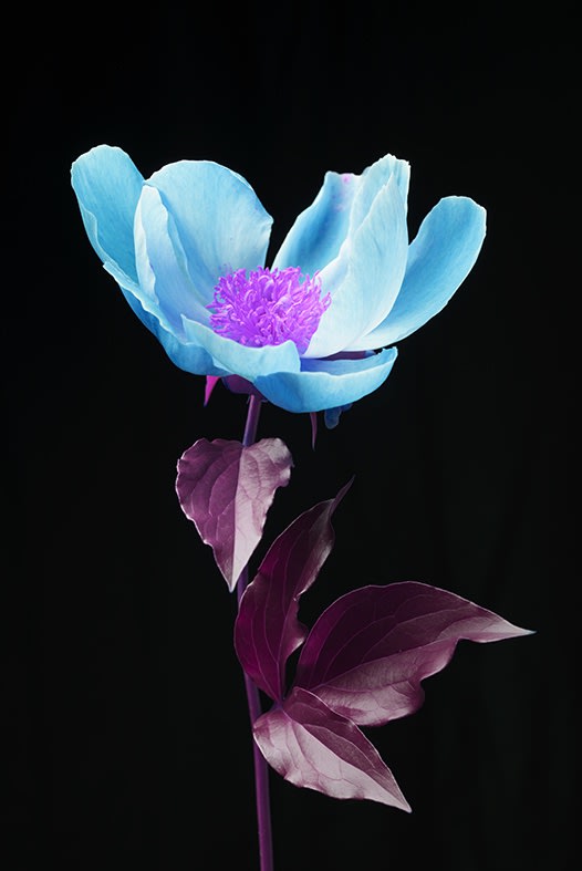 Tanja Lažetić, #74, 2019