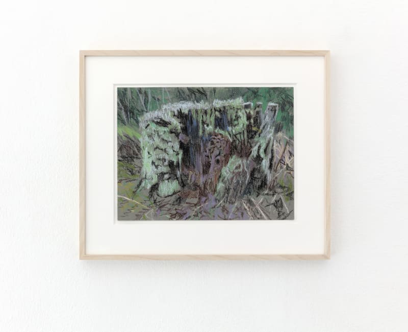 Susanne Johansson Halveringstid / Half-life, 2021 Pastell på papper / Pastel on paper 24x32 cm