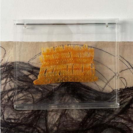 Roudhah Al Mazrouei, Murtaasha, 2025