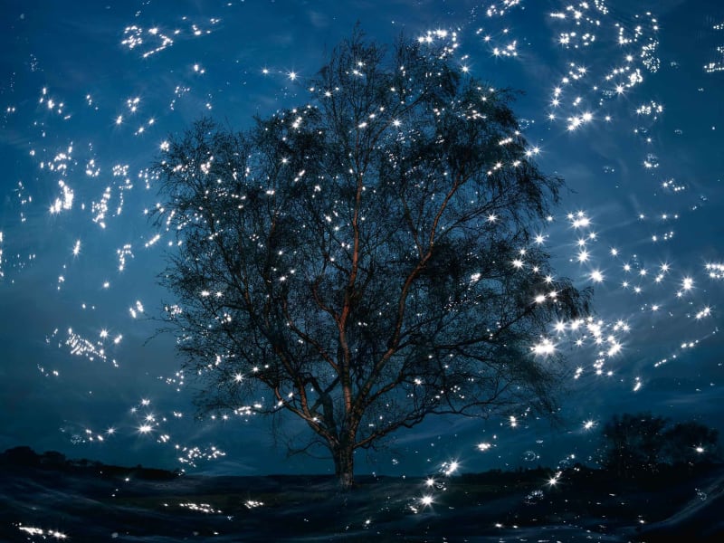 Ellie Davies, Seascapes Triptych 3: Birch , 2023