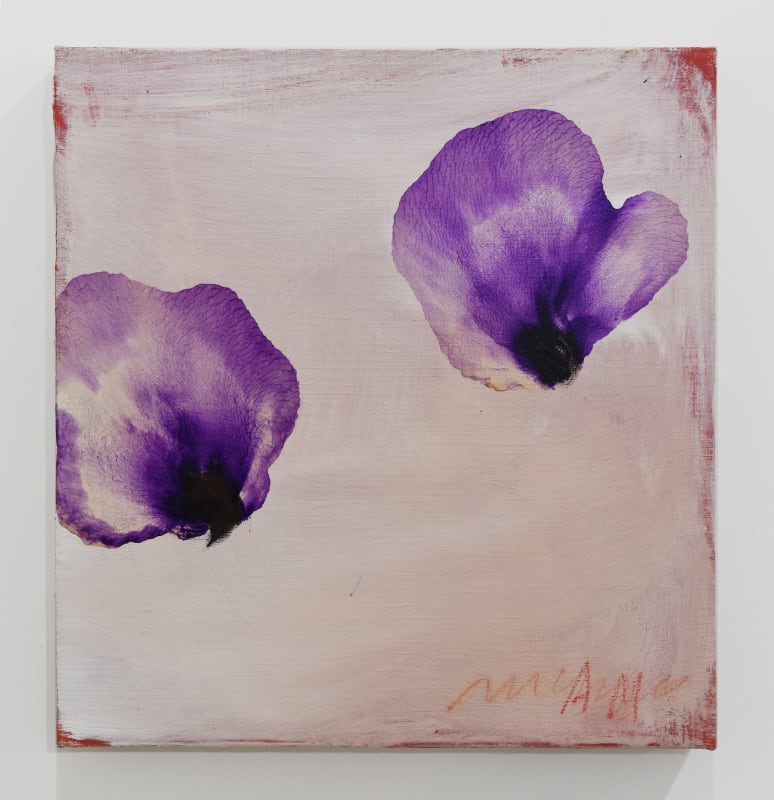 Antonio Murado Untitled, 2022 oil on linen 530 x 495mm