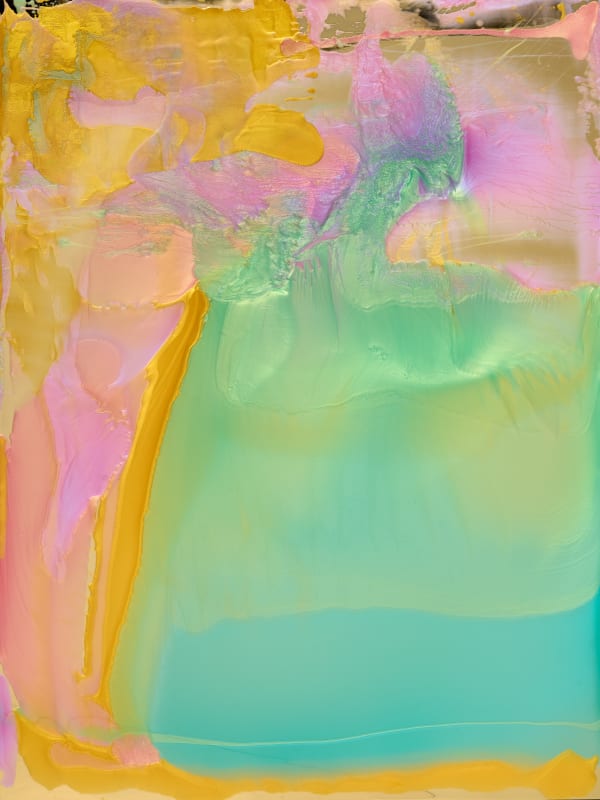 Dale Frank Armie Hammer 1, 2022 colour powder pigment, easycast, transparent dye, epoxyglass on perspex 2000 x 1500mm