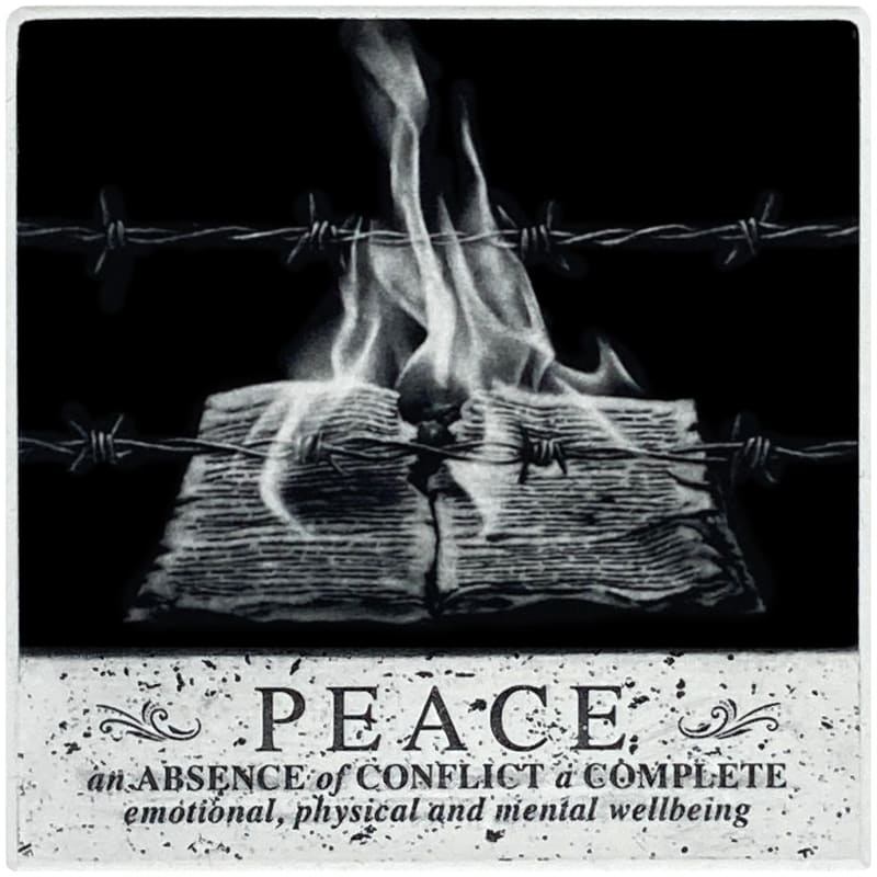 Stuart Duffin, Burning Peace, 2024