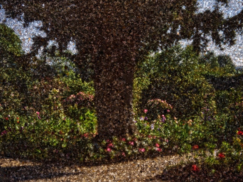 Abelardo Morell, Tent-Camera Image on Ground: Yew Tree in Monet's Garden, Giverny, France, 2023