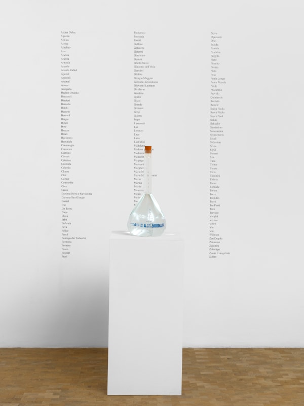 Tania Kovats All the Canals, 2017 water from 182 Venice canals, glass, rubber, vinyl dimensions variable