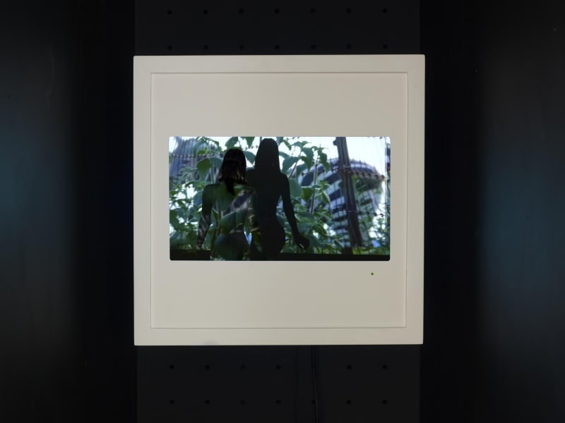 Shezad Dawood Three Arrangements for Annabel & Cello, 2015 digital video, 9:30, ed. 4 of 7