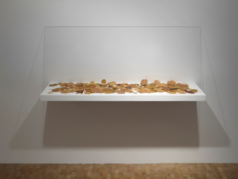 Yuken Teruya Federal Reserve, 2015-16 leaves, gold, bronze, white brass, yellow brass dimensions variable