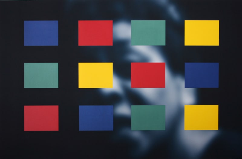 Carrie Mae Weems, Color: Real and Imagined, 2014