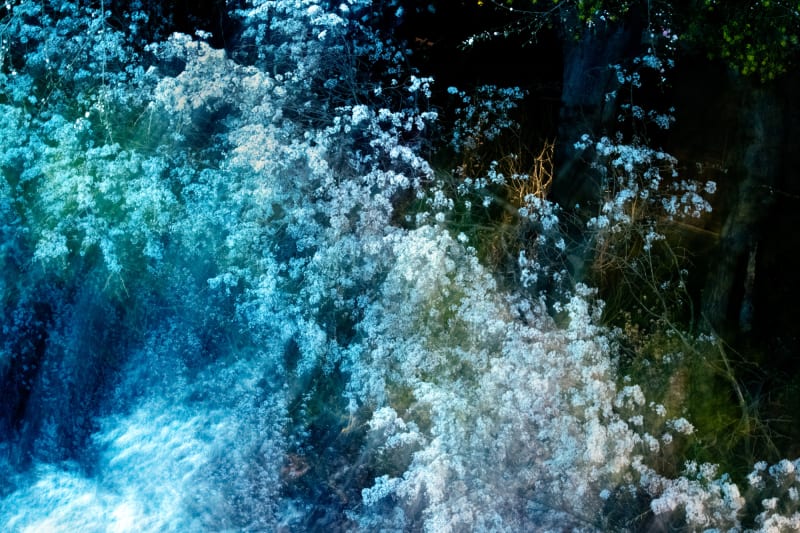 Ai Iwane Takashiba Dekoyashiki, Koriyama, Fukushima, 2020 Archival pigment print available in sizes: 94,8 × 142,2 cm, edition of 3 68,6 × 103 cm, edition of 7 Edition 1 of 3