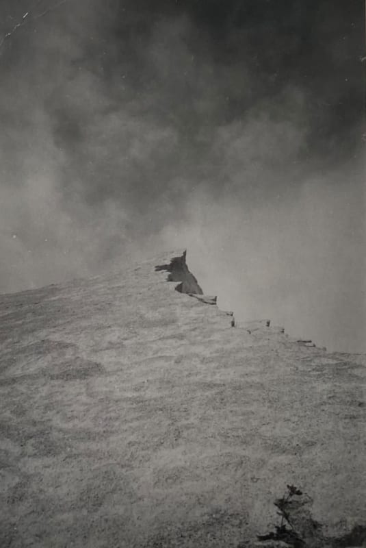 Thomas Vandenberghe, Untitled, n.d.