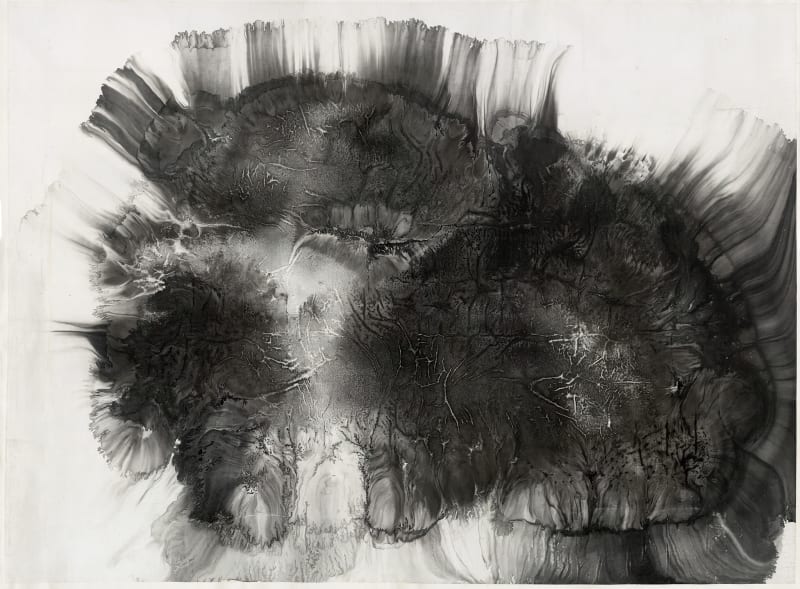 Bingyi 冰逸, Sunflowers with Three Faces 三张脸的向日葵, 2010