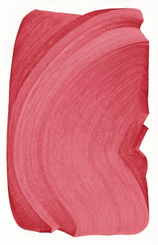 Dana Piazza, Lines 71, 2022