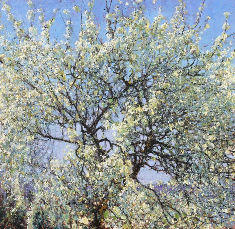 Andrew Gifford Blackthorn & Blue Sky, 2021 Oil on panel 15 ¼ x 15 ¾ ins 39 x 40 cm