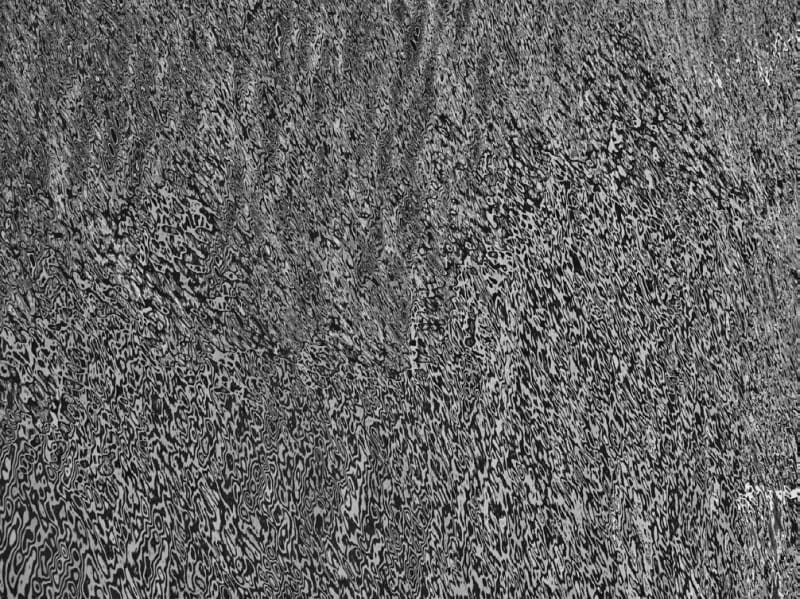 Suzuki Shin, Untitled(Seescape), 2023