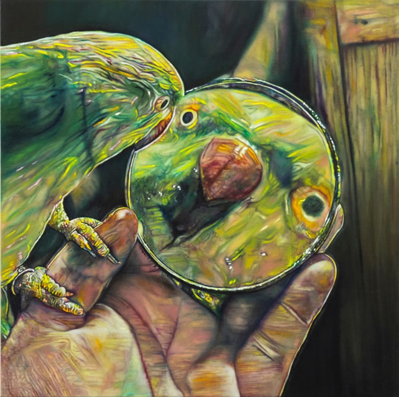 Grégory Sugnaux, Second Nature (Who’s That Bird?) , 2025