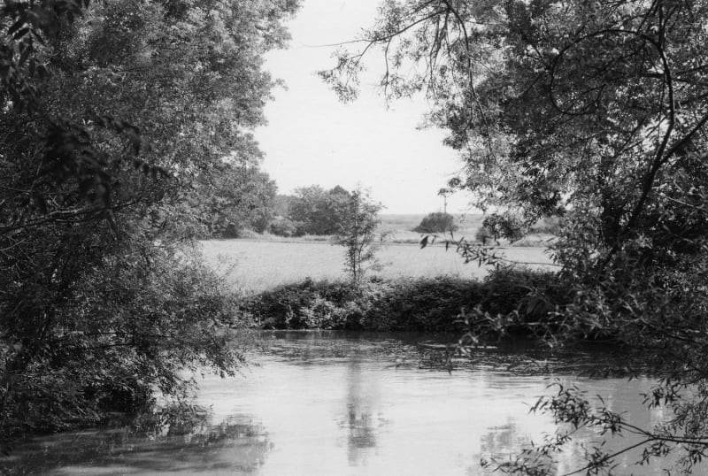 Thomas Boivin Promenades #1, Indre, 2021 Tirage gélatino-argentique, réalisé par l'artiste en 2023 Signé, titré, daté et numéroté par l'artiste au verso Dimensions de l'image : 8 x 12 cm Dimensions du cadre : 20 x 26 cm