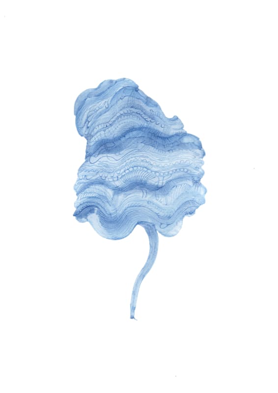 Joanna Kirk, Flowers of the Future CI, 2021