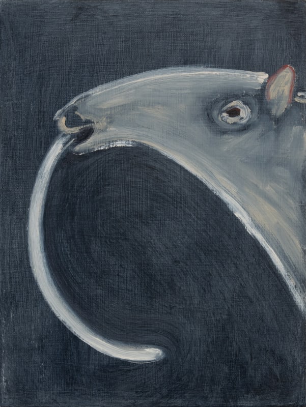 Yuhao Chen, Blep!, 2025