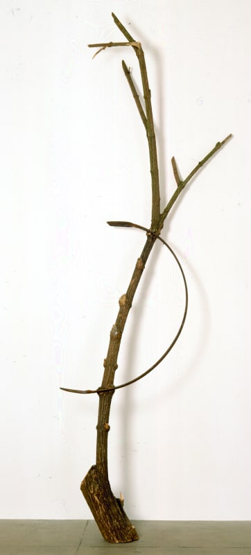 Giuseppe Penone: Le Corps d’un jardin 25 May - 22 June 2013