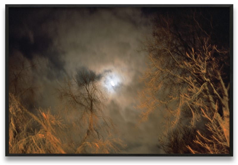 Nan Goldin, Full moon over Bois de Vincennes, Paris, 2004