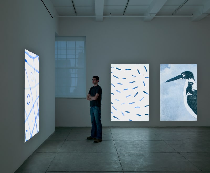 Lothar Baumgarten 9 April - 21 May 2011