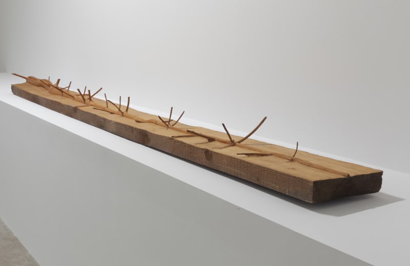 Giuseppe Penone: A Question of Identity 14 November - 22 December 2017