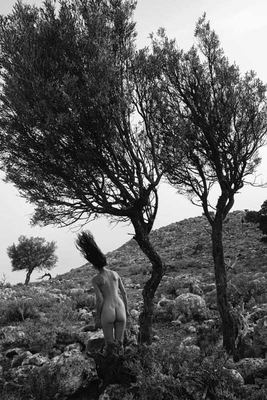 Viki Kollerová After Olives, 2022 Gelatin silver print Image size 17.7 x 11.8" Edition 5 of 9 Signed and numbered on accompanying signature label