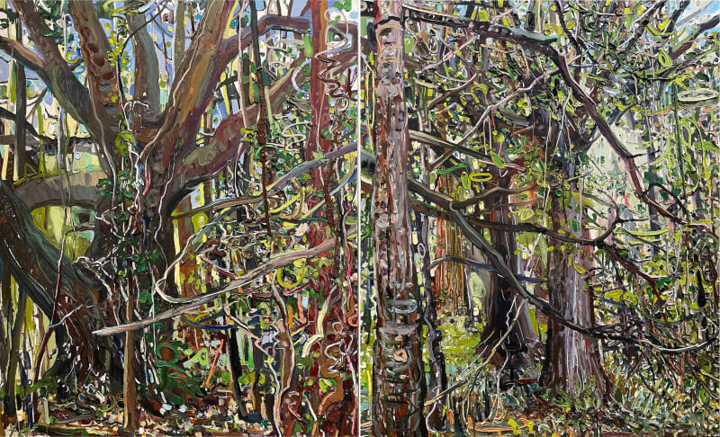 Lilian Garcia-Roig, Oak, Pine & Vine (diptych)