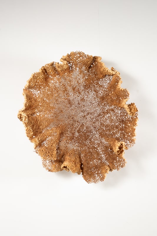 Yvonne Mouser, Untitled, Cellulose II, 2010/2021