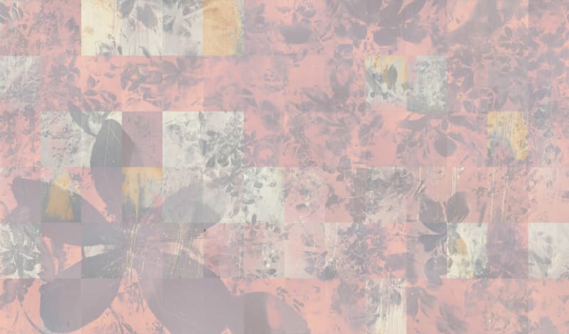 Sofia Crespo and Anna Ridler, 3.31424e+126 : clematis armandii, 2025