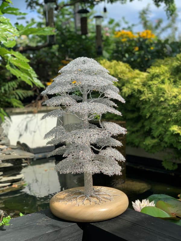 Clive Maddison, European White Elm, 2023