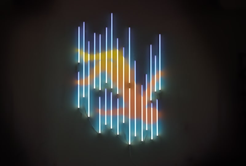 James Clar Freefall v10, 2015 LEDs, Filters, Wire 130 cm x 205 cm From a unique series of 12